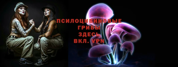 прущая мука Щигры