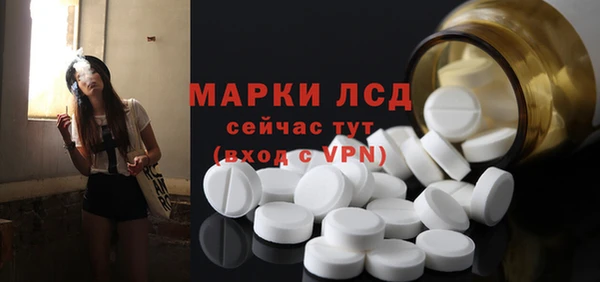 мяу мяу мука Чекалин