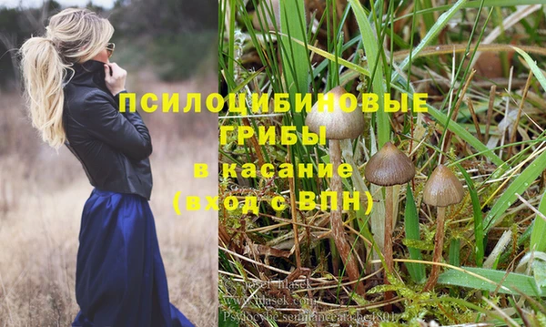 герыч Шали