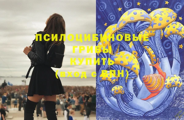 ALPHA PVP Чегем